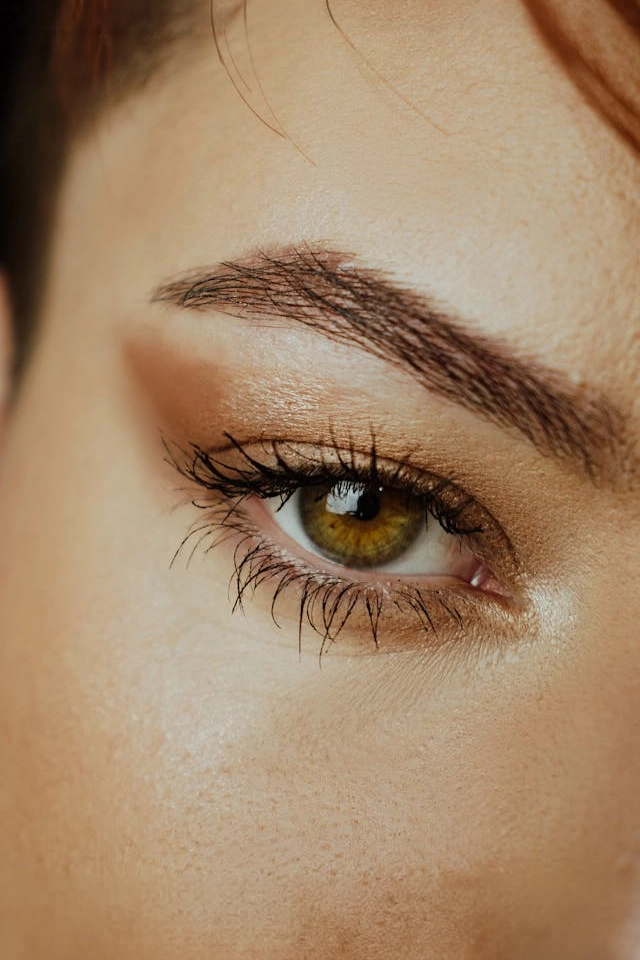 cejas estilizadas